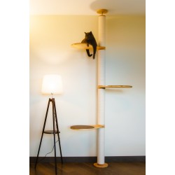 Cat Tree - AlderTower 