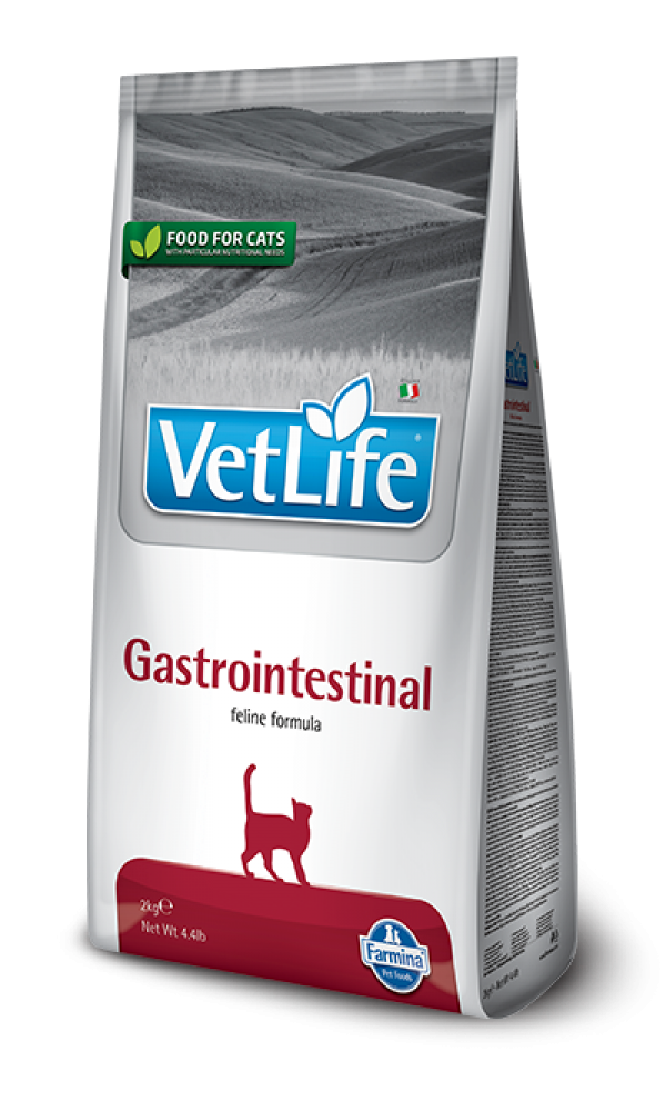 FARMINA kassi kuivtoit FAR-Vet Cat  GASTRO-INTESTINAL  400gr
