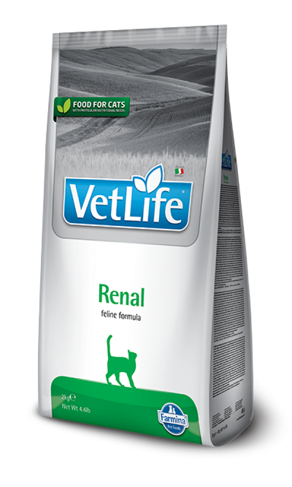 FARMINA kassi kuivtoit  FAR-Vet Cat  RENAL  400gr