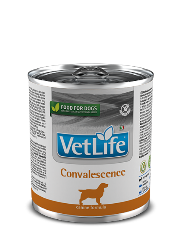 FARMINA koerakonserv FAR-Vet Dog  CONVALESCENCE 300gr