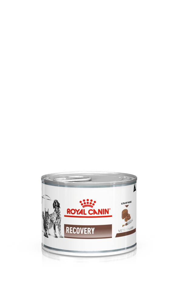 Royal Canin RECOVERY CAT & DOG WET 0,195 kg