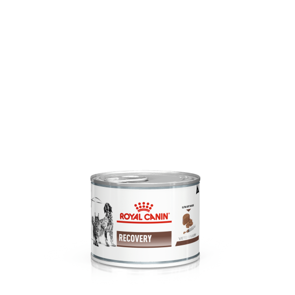 Royal Canin RECOVERY CAT & DOG WET 0,195 kg 