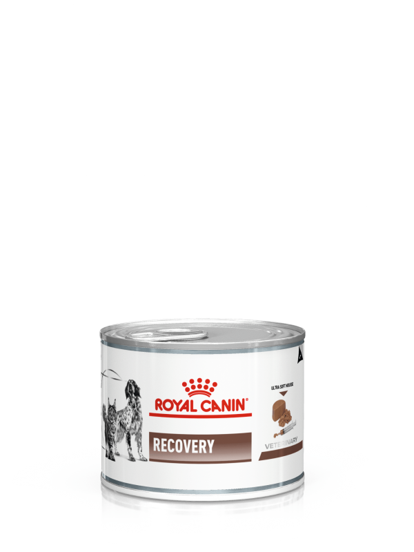 Royal Canin RECOVERY CAT & DOG WET 0,195 kg