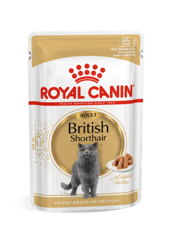 Royal Canin kassikonserv FBN BRITISH SHORTHAIR WET (85g x 12)