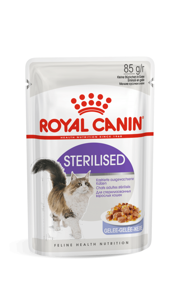 Royal Canin kassikonserv  FHN STERILISED IN JELLY (85g x 12)