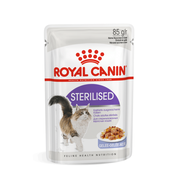 Royal Canin kassikonserv  FHN STERILISED IN JELLY (85g x 12)