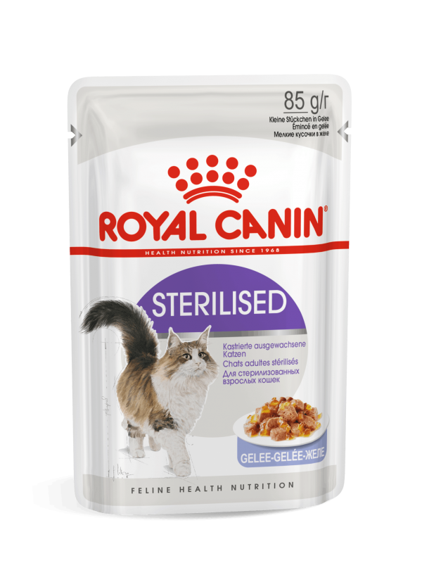 Royal Canin kassikonserv  FHN STERILISED IN JELLY (85g x 12)