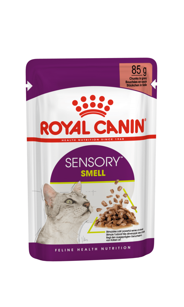Royal Canin   kassikonserv FHN Sensory Smell gravy 12x85g