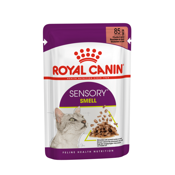 Royal Canin   kassikonserv FHN Sensory Smell gravy 12x85g