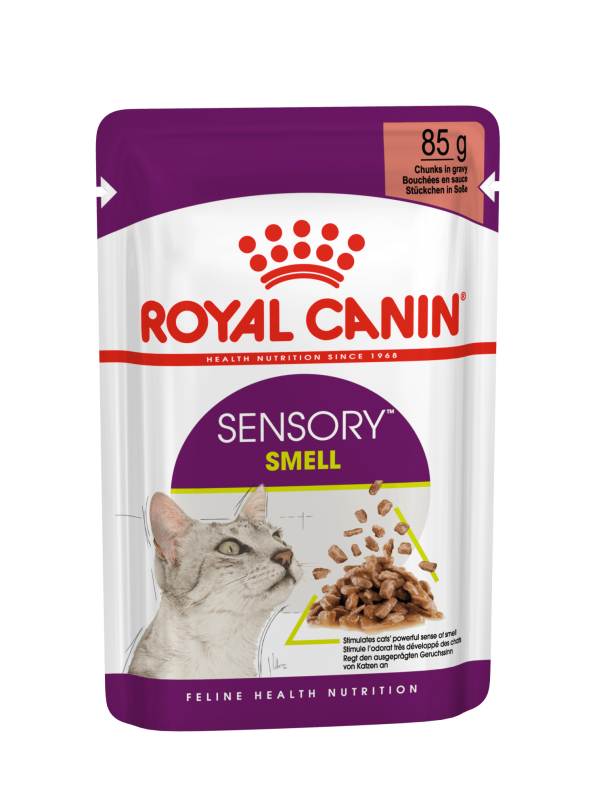 Royal Canin   kassikonserv FHN Sensory Smell gravy 12x85g