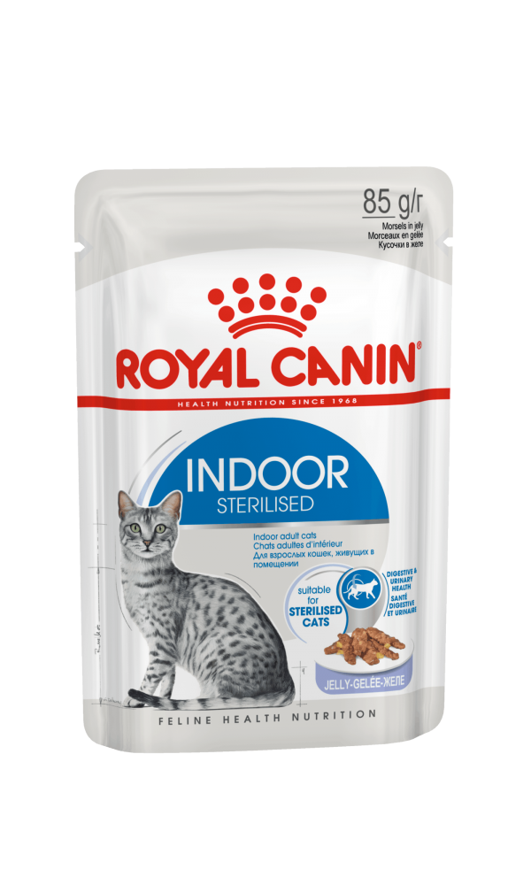 Royal Canin  kassikonserv FHN INDOOR JELLY  (85g x 12)