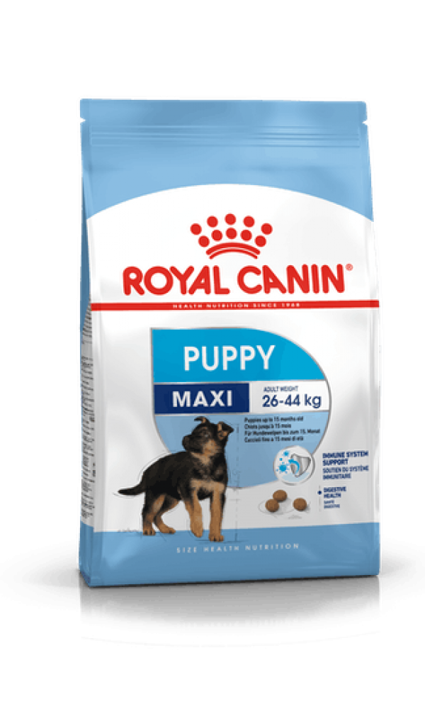 Royal Canin  koera kuivtoit     SHN MAXI PUPPY 1kg