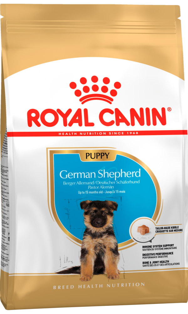 BHN GERMAN SHEPHERD PUPPY 12kg 