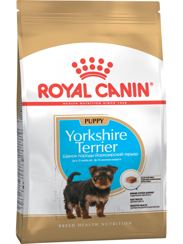 Royal Canin koeratoit  BHN YORKSHIRE TERRIER PUPPY 0.5kg