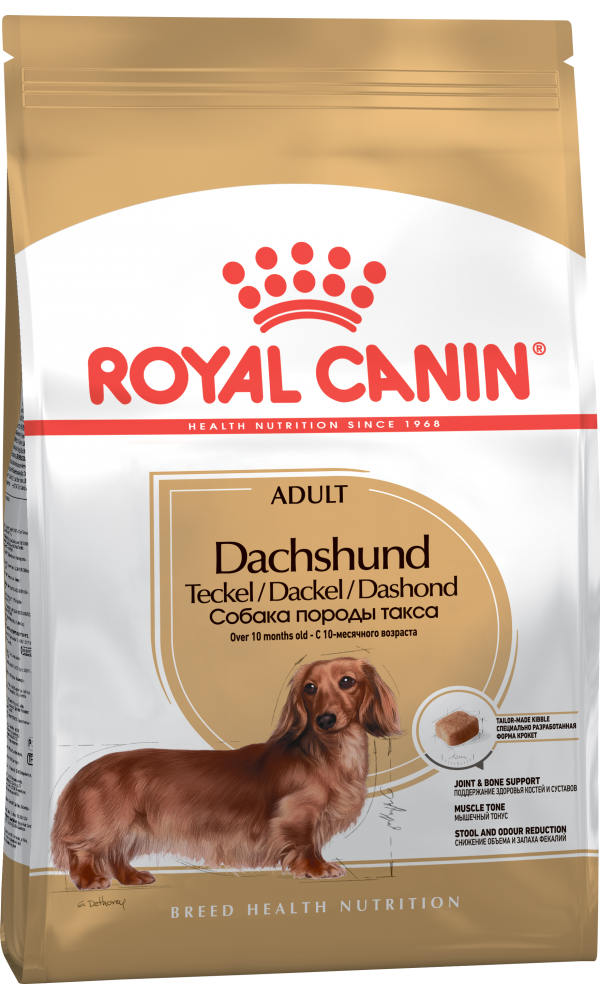 Royal Canin koeratoit  BHN DACHSHUND ADULT 0,5kg