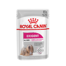  CCN EXIGENT WET (85g x 12)