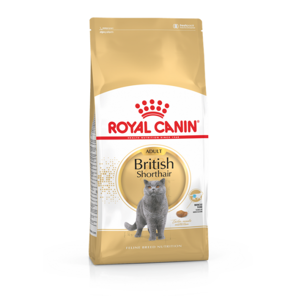 Royal Canin kassitoit  FBN BRITISH SHORTHAIR 4kg
