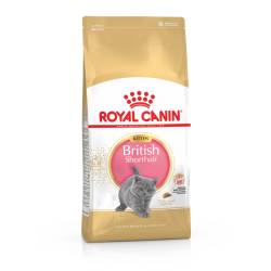 FBN KITTEN BRITISH SHORTHAIR 10kg