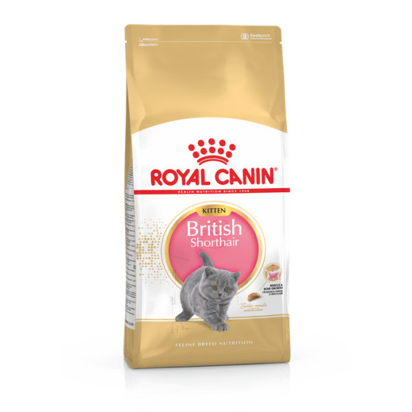 Royal Canin  kassitoit   FBN KITTEN BRITISH SHORTHAIR 0.4kg