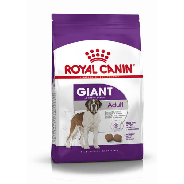 Royal Canin koeratoit SHN GIANT ADULT  15kg 