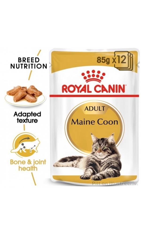 Royal Canin kassikonserv FBN MAINE COON WET (85g x 12)