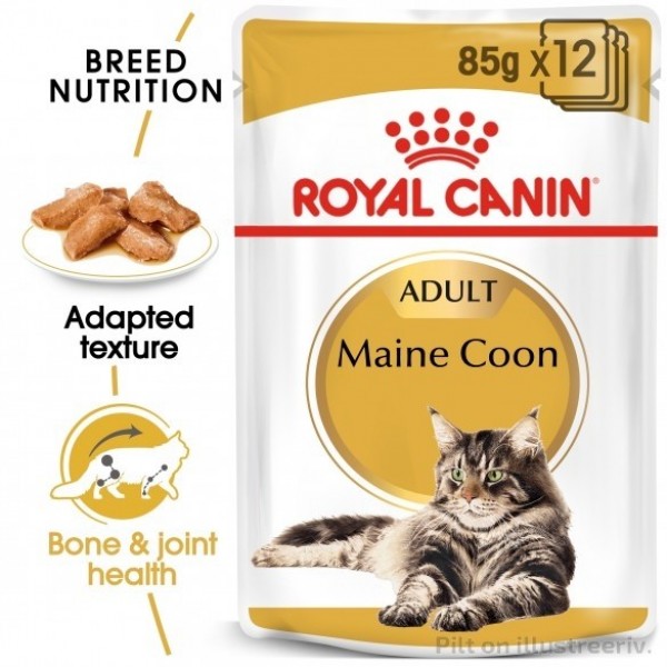 Royal Canin kassikonserv FBN MAINE COON WET (85g x 12)