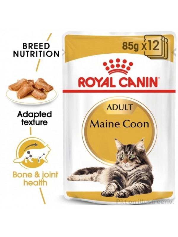 Royal Canin kassikonserv FBN MAINE COON WET (85g x 12)