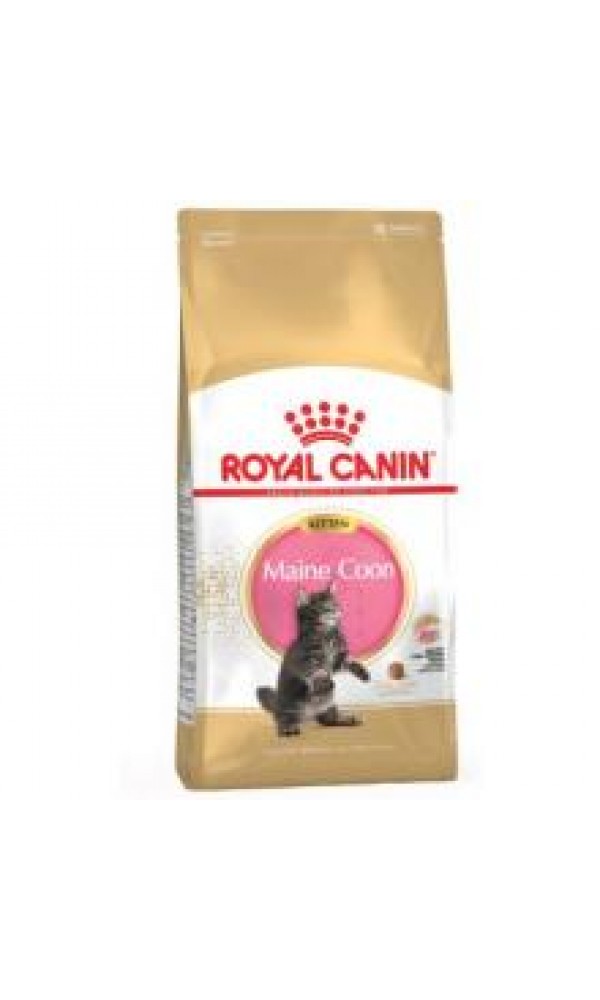 Royal Canin kassitoit FBN KITTEN MAINE COON 2kg