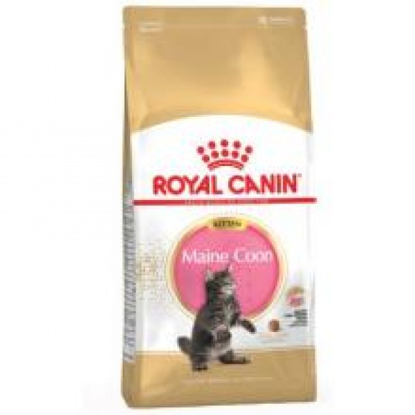 Royal Canine kassitoit FBN KITTEN MAINE COON 2kg