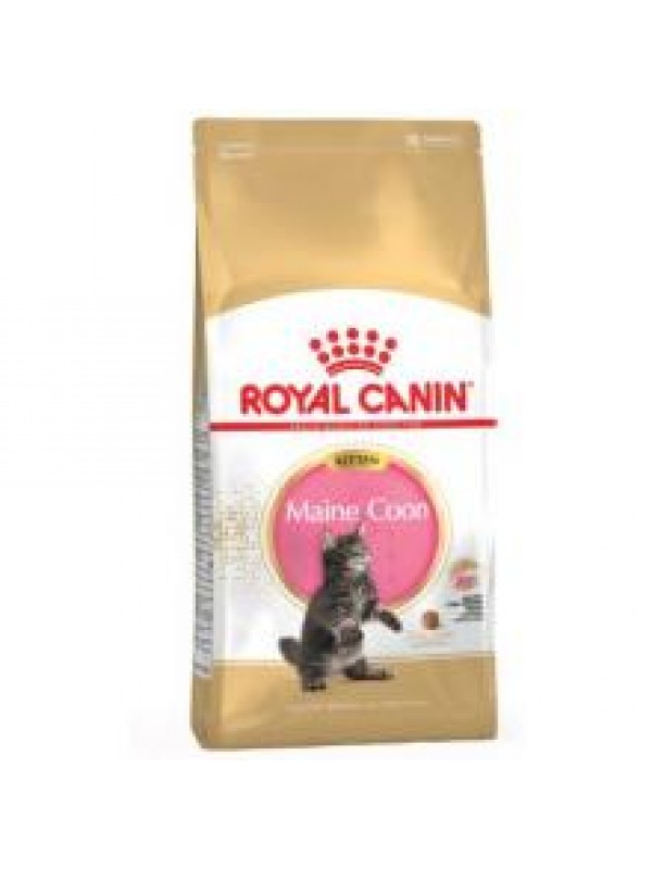 Royal Canin kassitoit FBN KITTEN MAINE COON  10kg