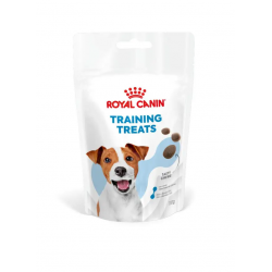 Training Treats Dog 1x110g