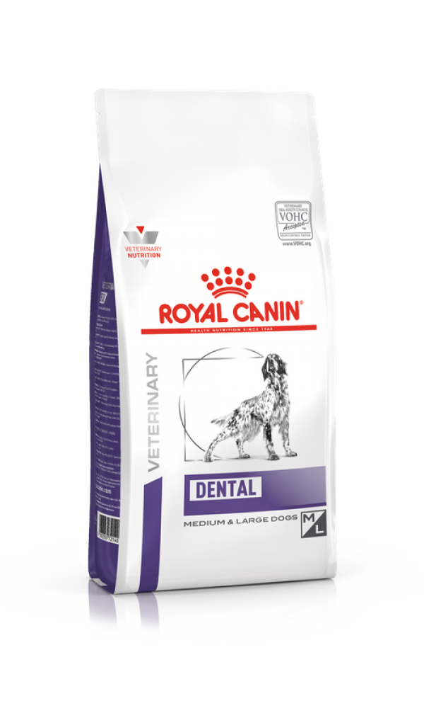 Royal Canine DENTAL DOG 6kg