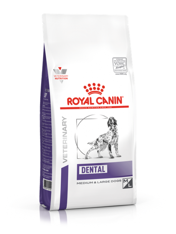 Royal Canine DENTAL DOG 6kg