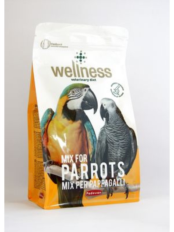 Pd lindude täissööt wellness suur papagoi 750g
