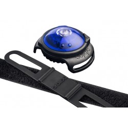Orbiloc koera led tuluke dual sinine