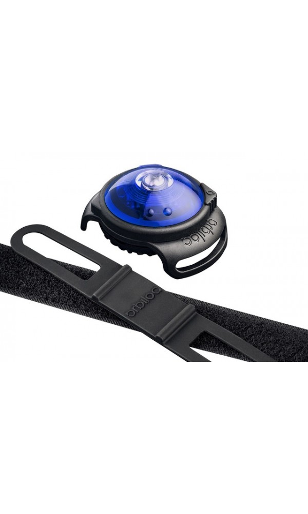 Orbiloc koera led tuluke dual sinine