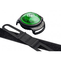 Orbiloc koera led tuluke dual roheline