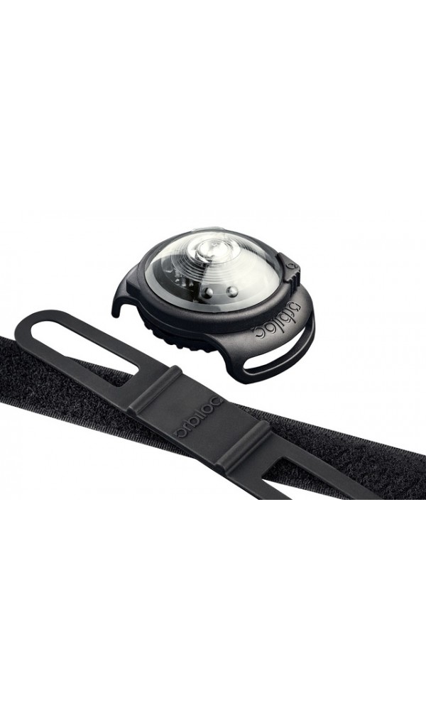Orbiloc koera led tuluke dual valge
