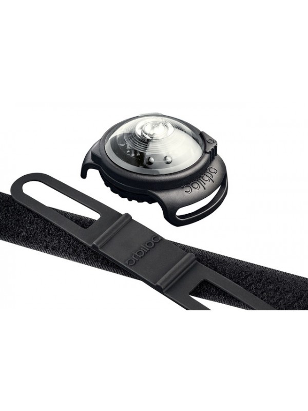 Orbiloc koera led tuluke dual valge