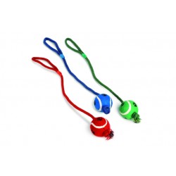 Beeztees koera mänguasi tennisepall nööriga käpamuster