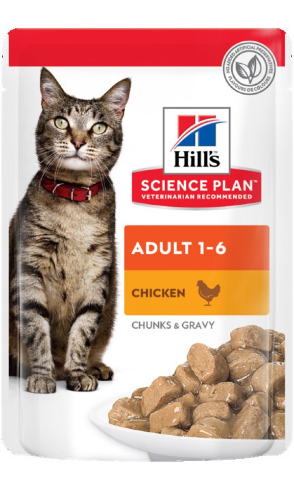 Hills kassi einekotike kana 85g n1