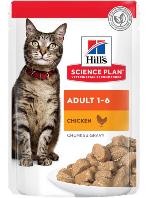 Hills kassi einekotike kana 85g n1