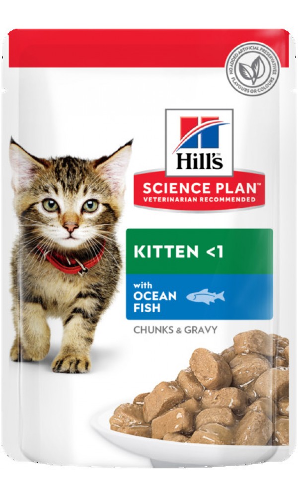 Hills kassipoja einekotike ookeanikala 85g n1