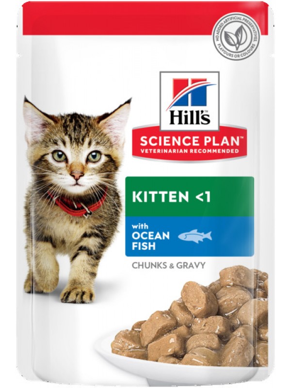 Hills kassipoja einekotike ookeanikala 85g n1