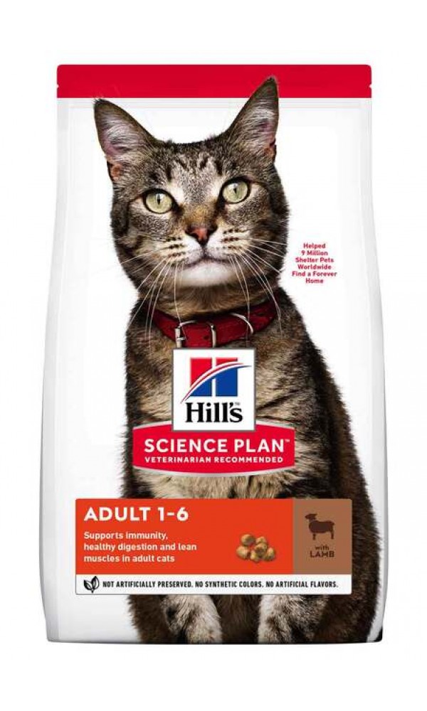 Hills kassi täissööt optimal care lammas 10kg