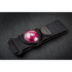 Orbiloc koera led tuluke dual roosa