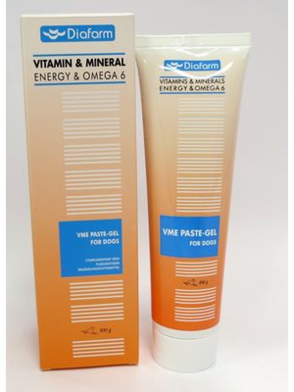 Diafarm vit/min/omega 6/energia pasta koerale 100g