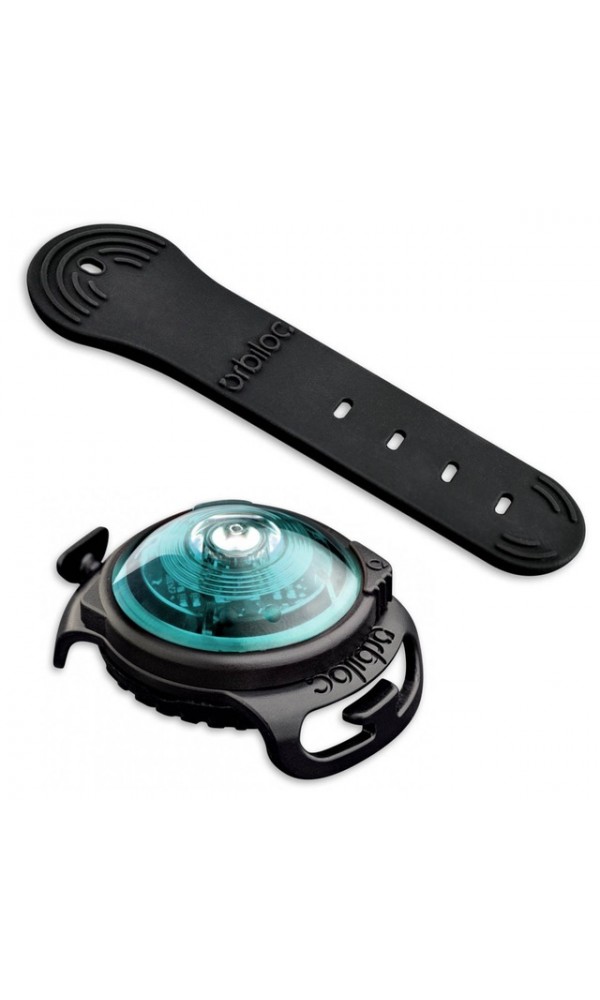 Orbiloc koera led tuluke dual türkiis