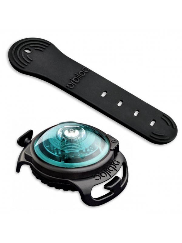 Orbiloc koera led tuluke dual türkiis