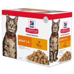 Hills kassi einekotike kana 85g n12
